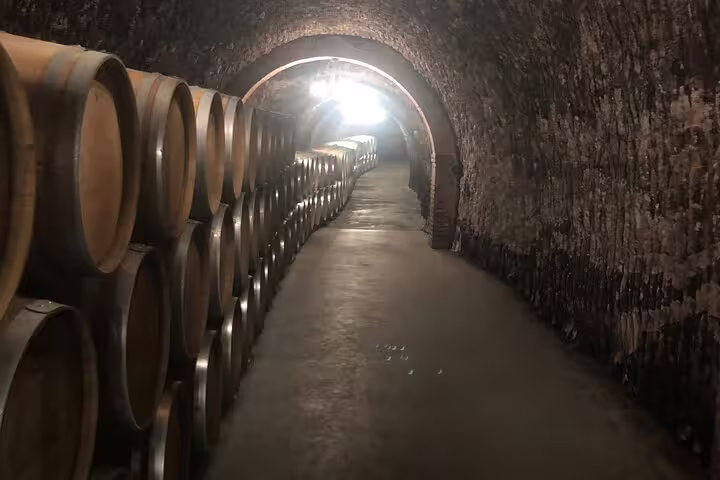 Dimly lit wine cellar with rows of oak barrels in Ribera del Duero, showcasing traditional winemaking ambiance.