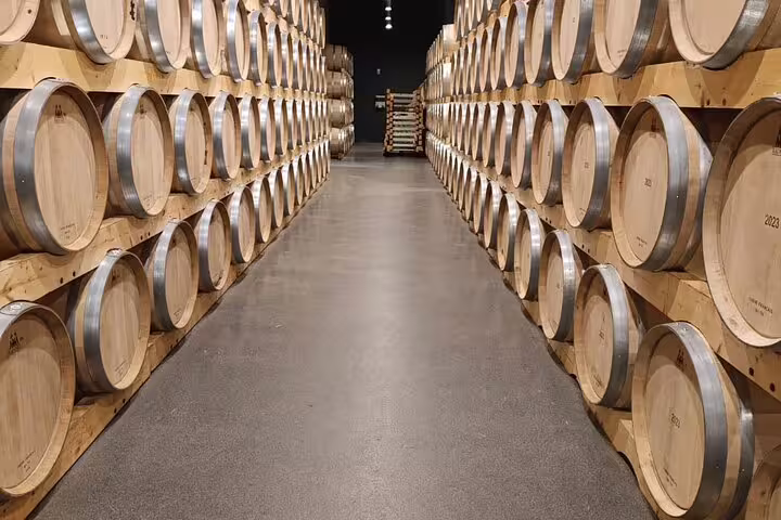 Walk through a modern Ribera del Duero winery, lined with oak barrels, on a scenic two-day tour from Madrid.