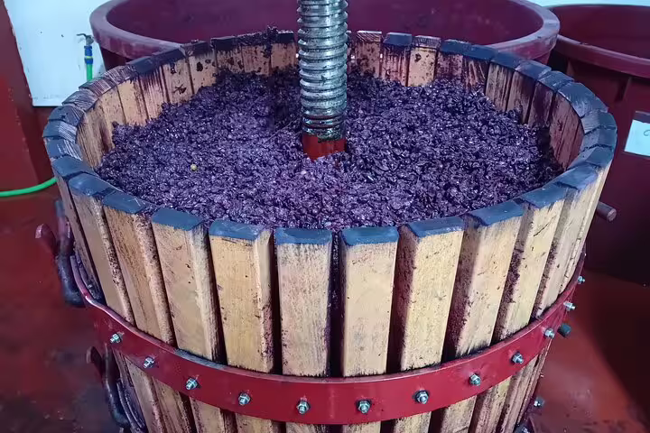 Close-up of grape pomace in a wooden wine press, showcasing traditional winemaking in Ribera del Duero.