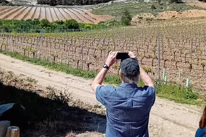 Tourist capturing scenic views of Ribera del Duero vineyard, ideal for wine tour photography enthusiasts.