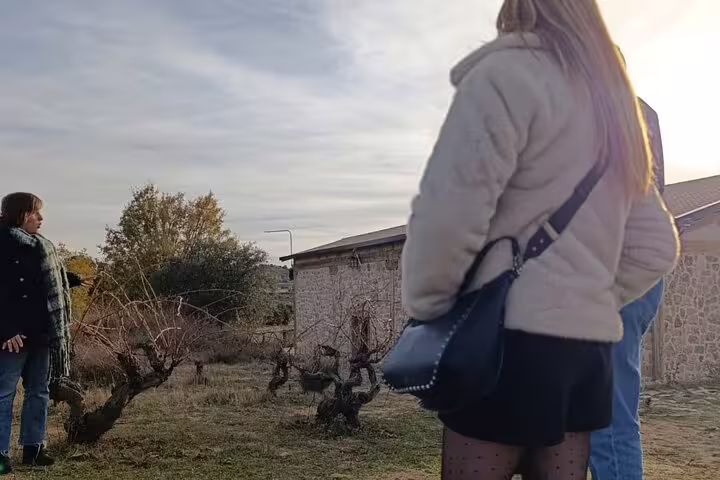 Tourists explore a vineyard with rustic stone buildings on the Ribera del Duero wine tour from Madrid.