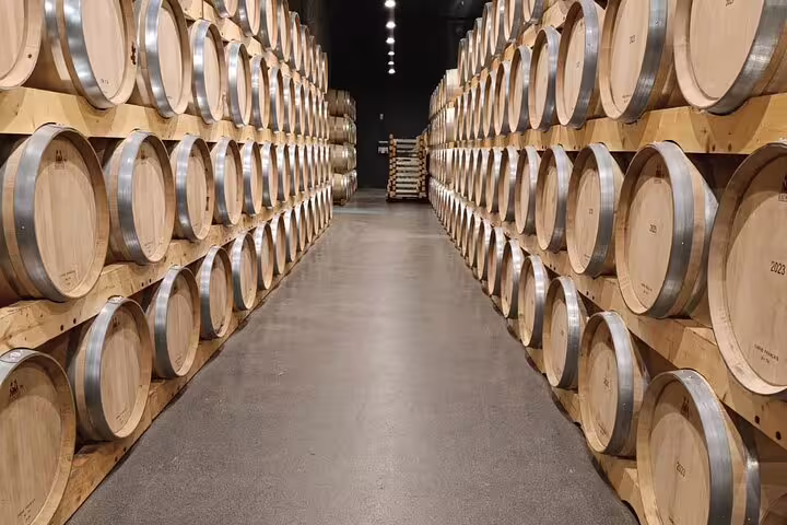 Explore the cellar lined with aging barrels on the Ribera del Duero wine tour from Madrid.