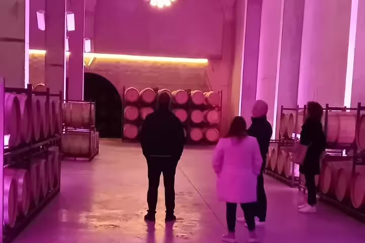 Visitors explore a dimly lit wine cellar with oak barrels in Ribera del Duero on a guided tour from Madrid.