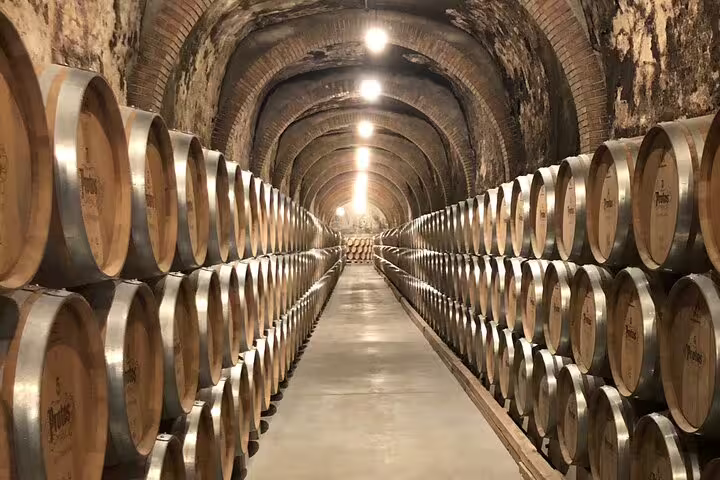 Expansive wine cellar in Ribera del Duero with neatly arranged oak barrels, perfect for wine enthusiasts.