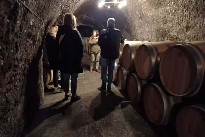 Tour group exploring historic wine cellar with oak barrels in Ribera del Duero, Spain.