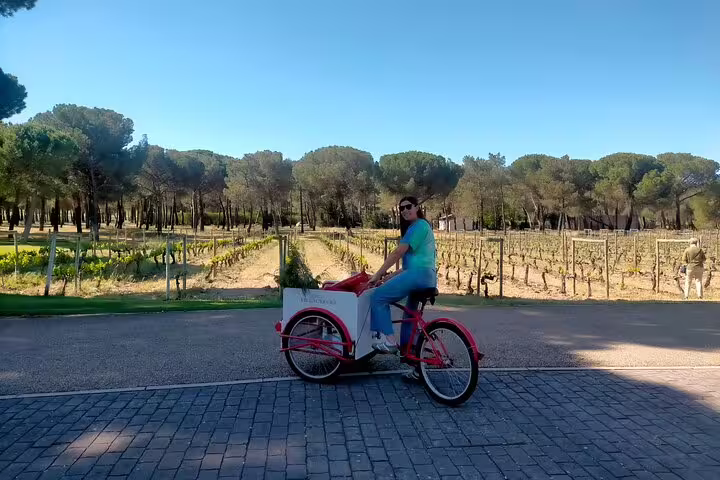 Person riding a bicycle past scenic vineyards in Ribera del Duero, enjoying a sunny day on the winery tour.