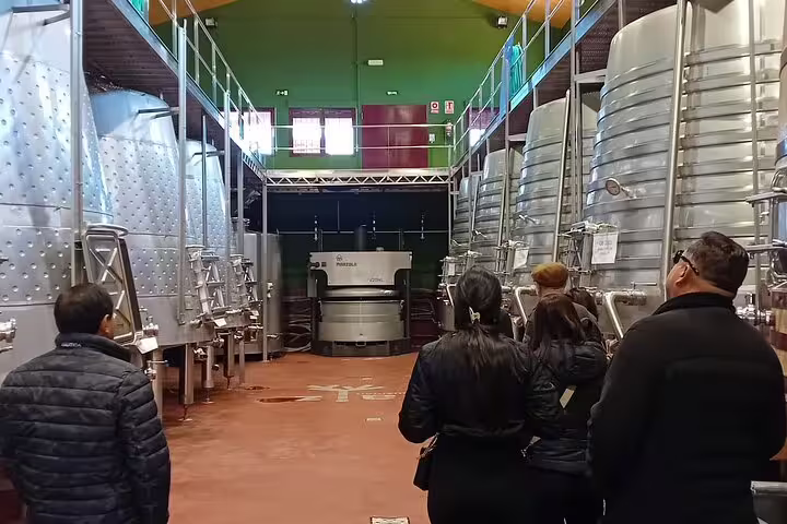 Tour group exploring modern wine fermentation tanks at a Ribera del Duero winery, showcasing stainless steel vats.