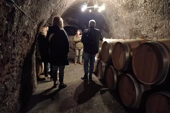 Tour group listens to a guide in the atmospheric wine cellar of a Ribera del Duero winery.