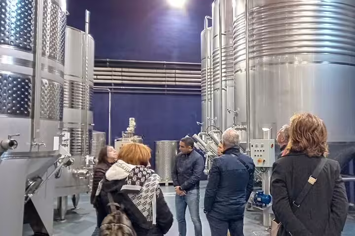 Tour group observes large stainless steel wine tanks at a Ribera del Duero winery visit from Madrid.