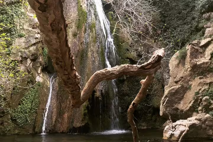 Scenic view of Richti Waterfall cascading into a serene pool surrounded by lush greenery and rocky formations.