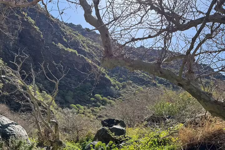 Scenic view of lush greenery and rocky hills on the path to Richti Waterfall, perfect for nature lovers.
