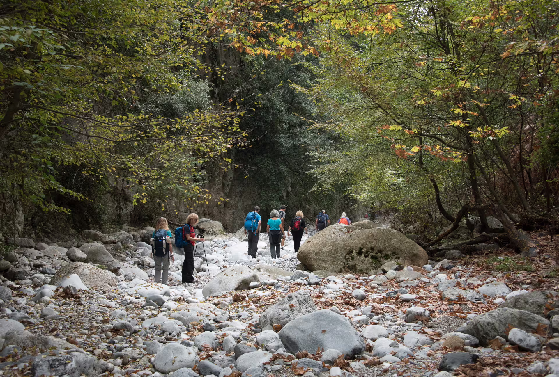 Group trekking the rocky riverbed under forest canopy on Ridomo Gorge hiking tour near Kardamyli, Mani