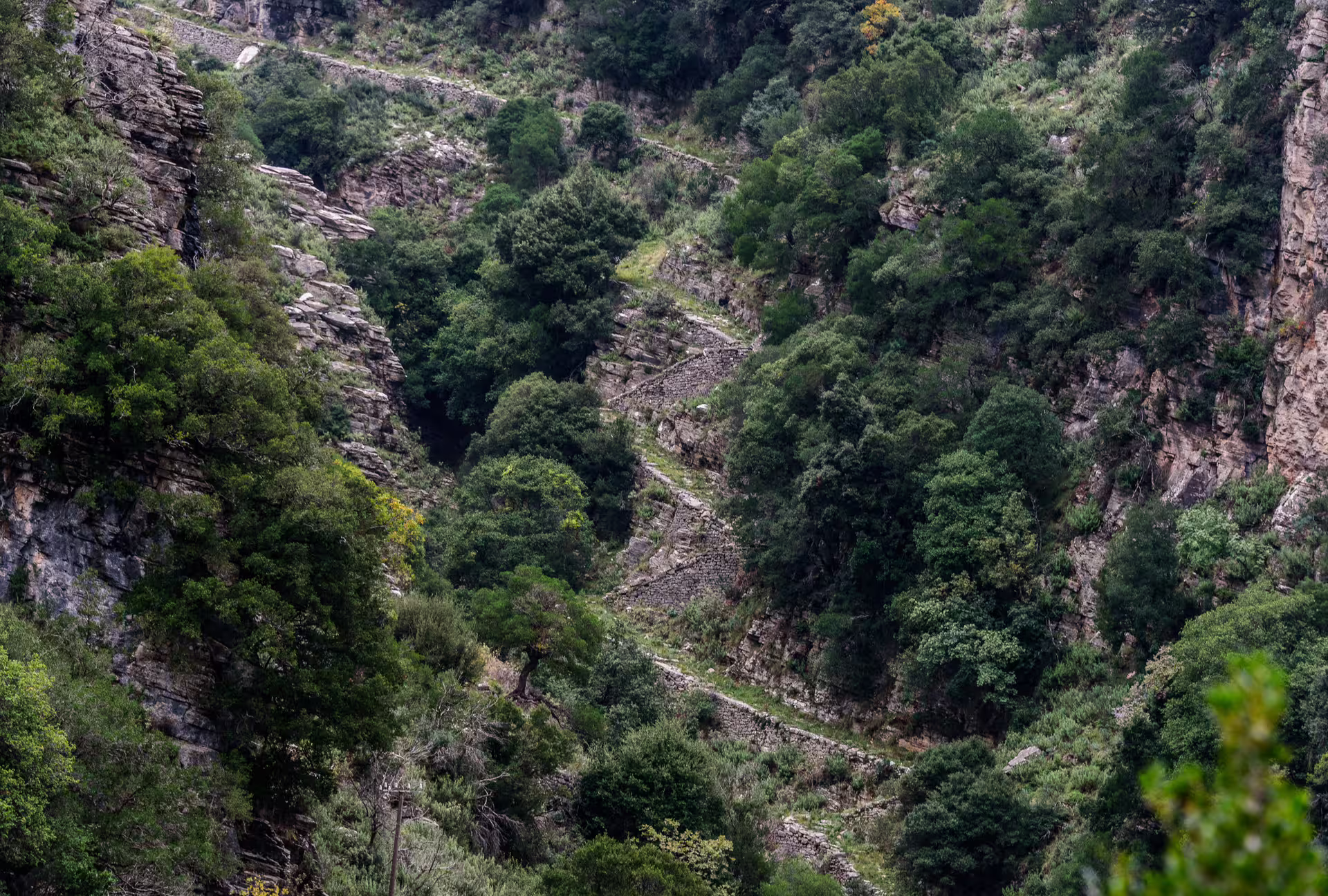 Winding mountain path on green slopes above Ridomo Gorge, showcasing rugged landscape on this Greece hike