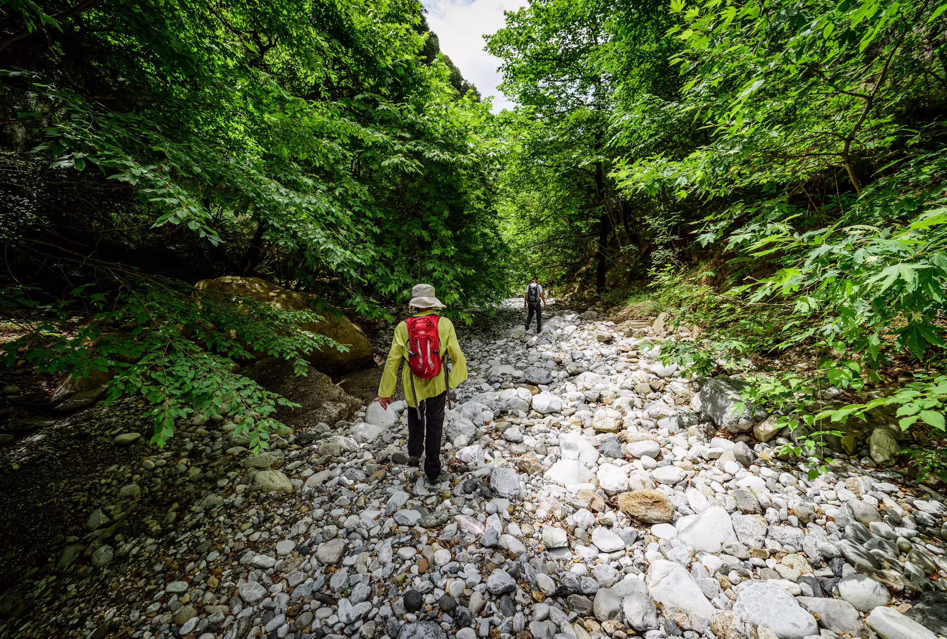 Trekking the rocky riverbed under lush trees in Ridomo Gorge, a scenic guided hiking tour through wild canyon nature