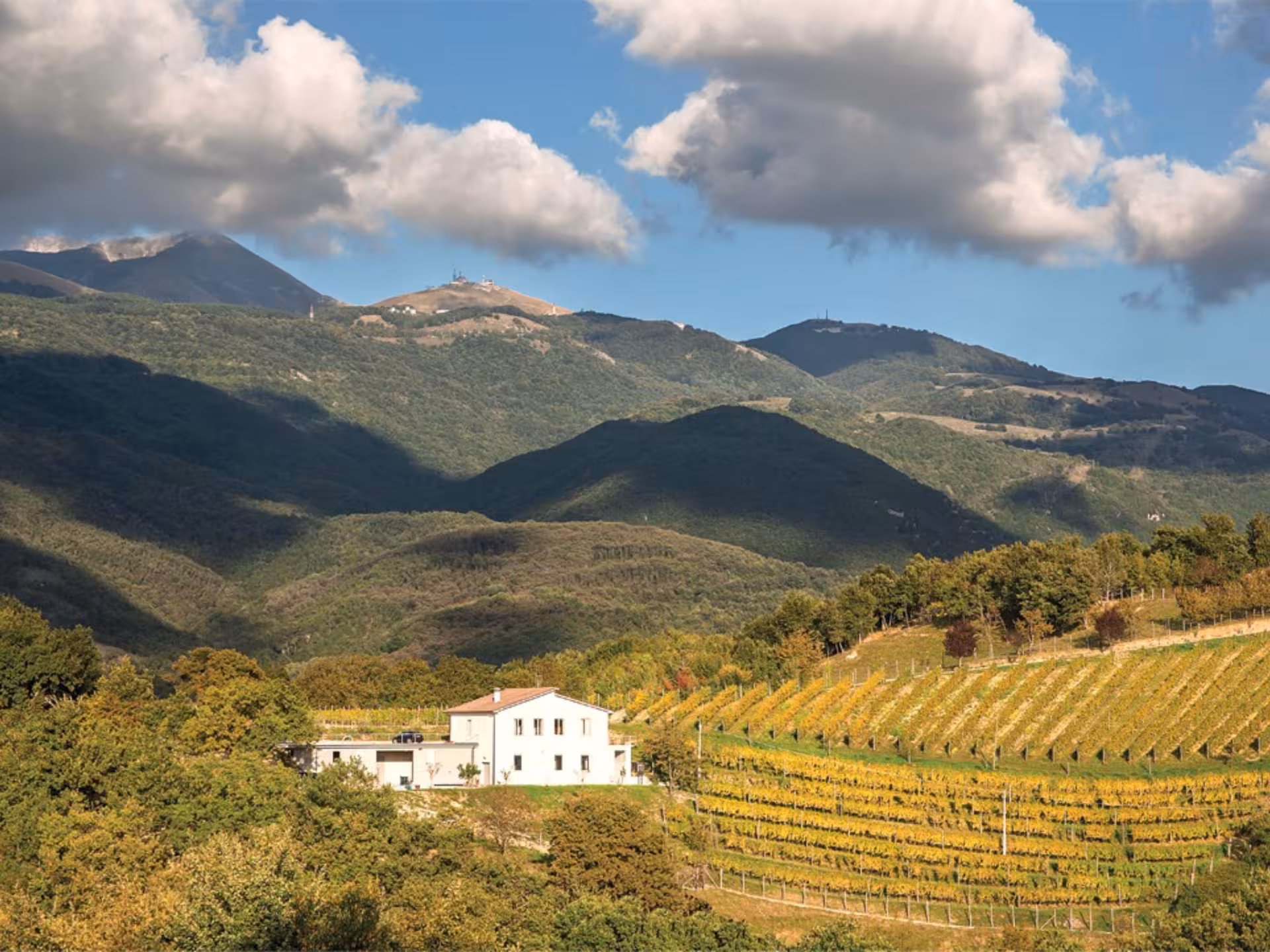 Scenic view of Rieti countryside vineyard with lush rolling hills and a charming farmhouse under a cloudy sky.