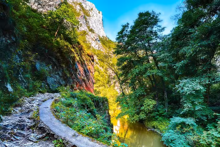 Narrow rocky canyon trail alongside a green river surrounded by lush forest near Rimetea, Romania