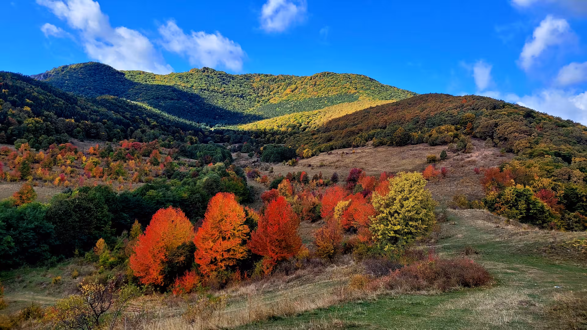 Vibrant autumn foliage with red and orange trees on rolling hills near Rimetea Village, Transylvania