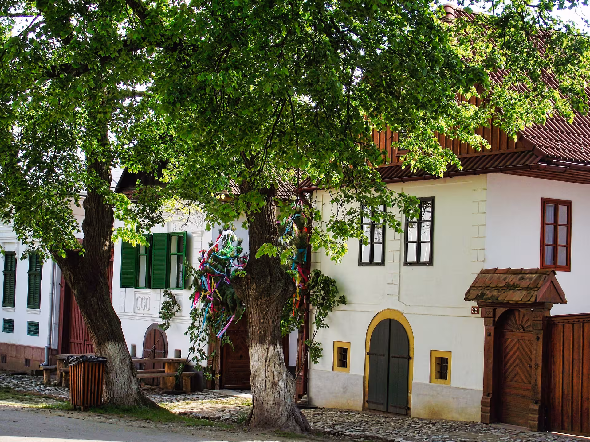 Charming traditional white houses with lush green trees lining the cobblestone street of Rimetea village Apuseni Mountains