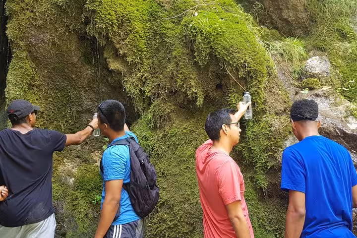 Hikers collecting spring water from mossy rock wall during day trip near Cluj-Napoca