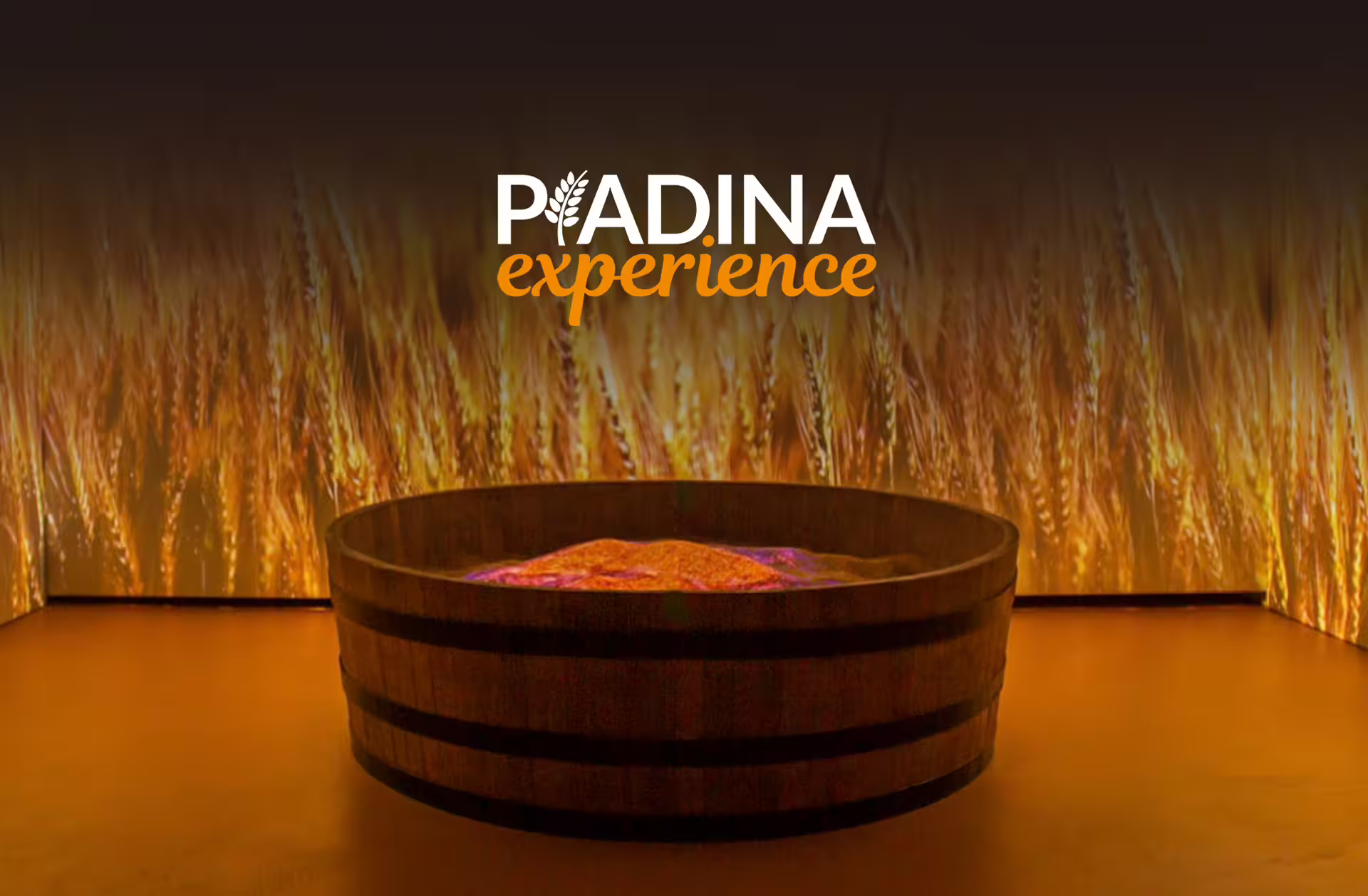 Immersive Piadina Experience exhibit at Rimini’s first Piadina Museum, wheat-field backdrop and tasting tour
