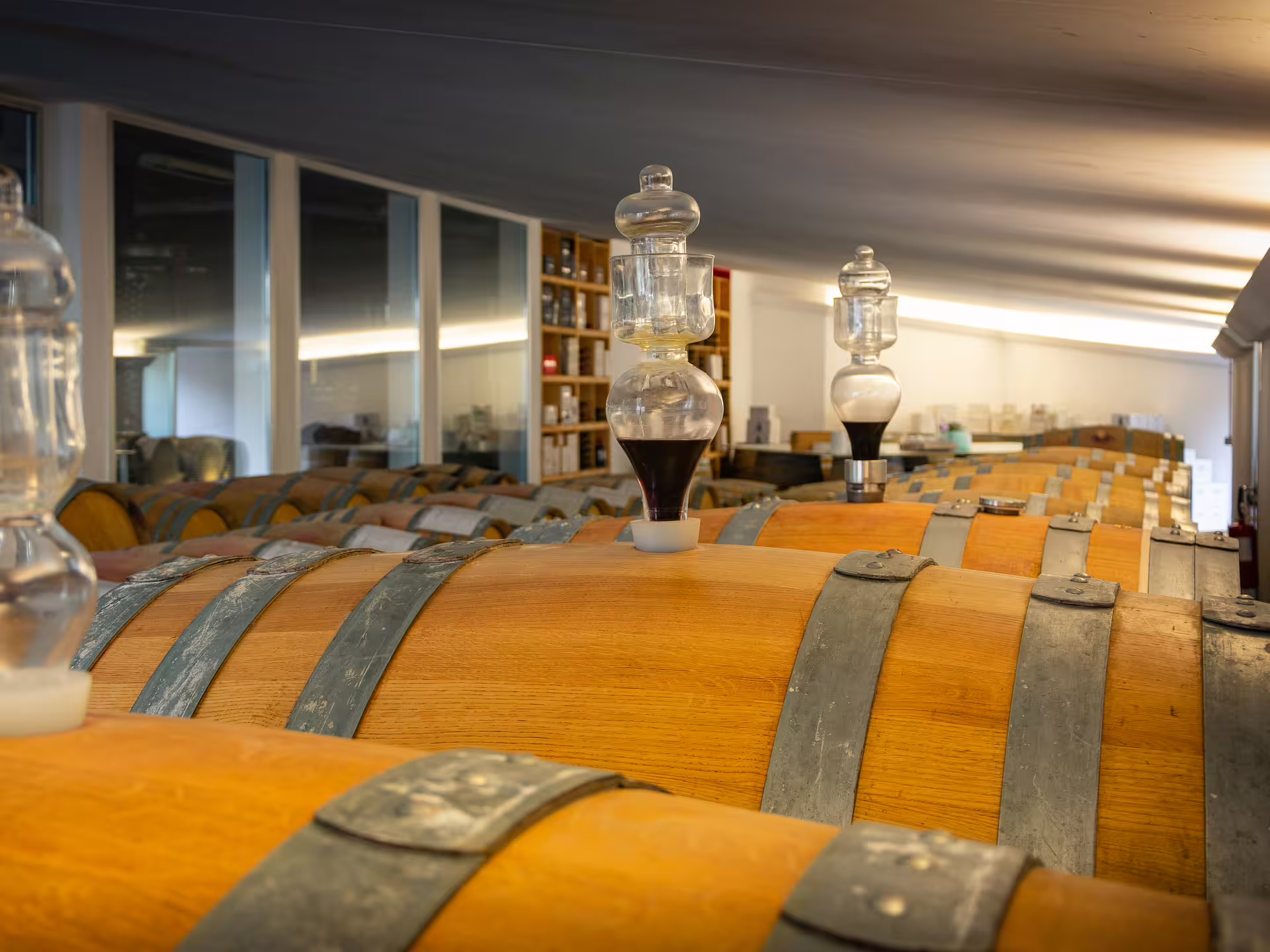 Interior of a winery in Rimini showcasing oak barrels used for aging San Valentino DOC wines.