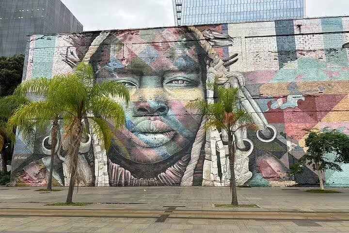 Vibrant mural of a woman's face with palm trees in Rio, seen on the Brazil Imperial boat tour of Fiscal Island.