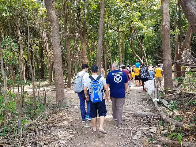 Travelers hike through Amazon rainforest on a Negro River half-day expedition tour near Manaus, Brazil