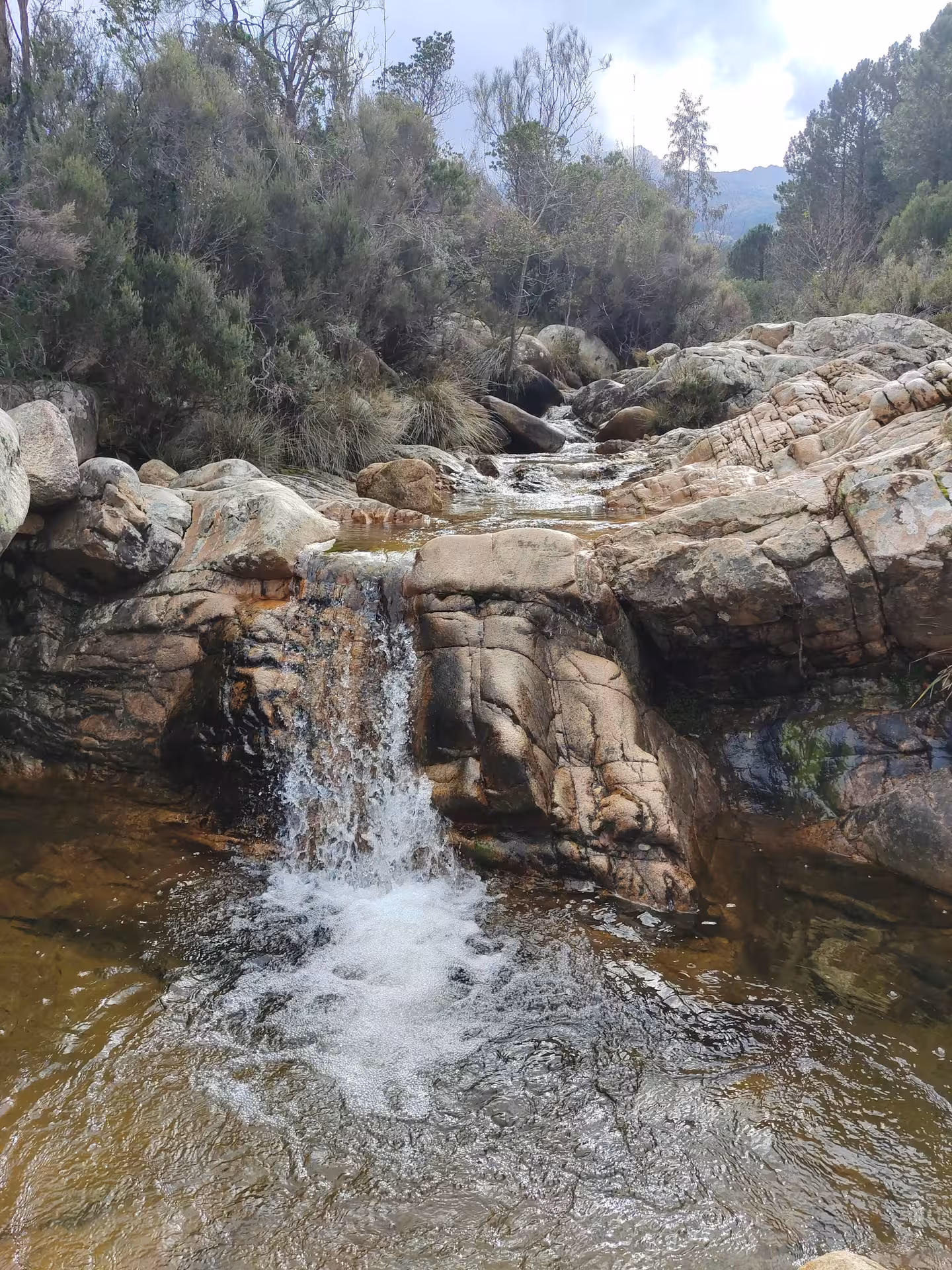 Pristine waterfall cascading over rocky terrain in the lush landscape of Rio Pitrisconi, San Teodoro.