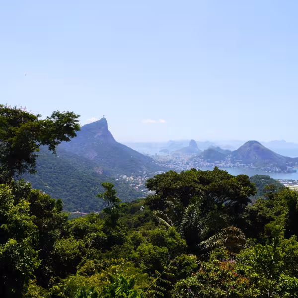 Scenic view of Rio de Janeiro's lush Tijuca Forest with distant cityscape and iconic mountain peaks.