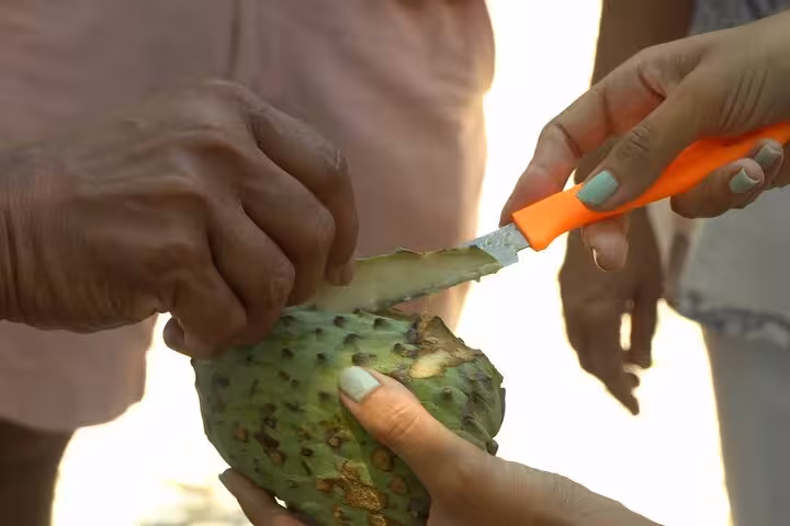 Tour guide slicing a soursop fruit for tasting during the Rio Tropical Fruit Tour's interactive market experience.