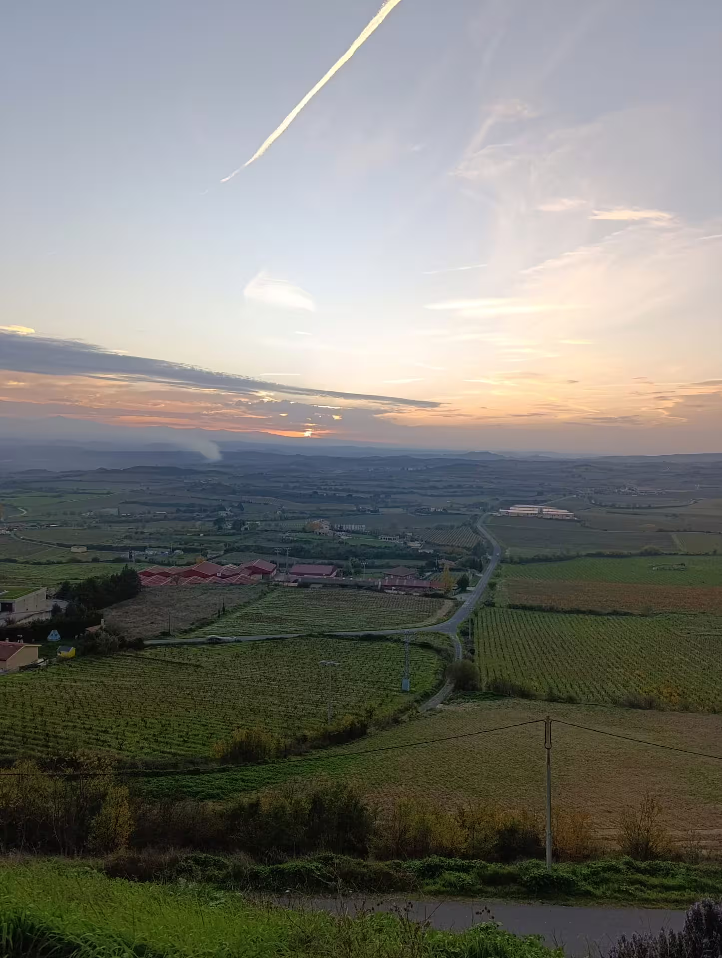 Scenic sunset view over Rioja vineyards, showcasing lush landscapes perfect for a wine tour.