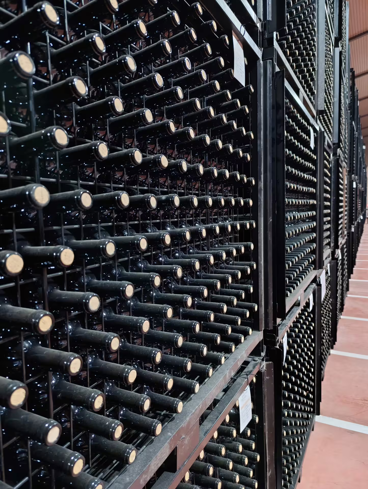 Discover Rioja's extensive wine bottle collection in storage racks on a Three Day Wine Experience tour.