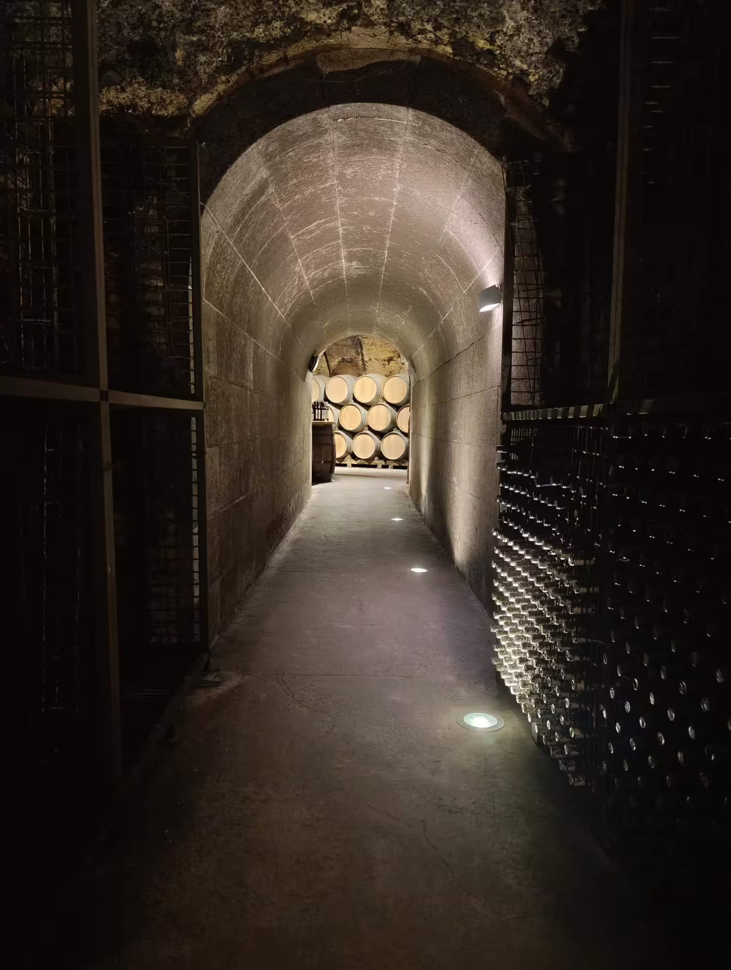 Explore the atmospheric wine cellar in Rioja with rows of barrels and bottles on the Three Day Rioja Wine Experience.