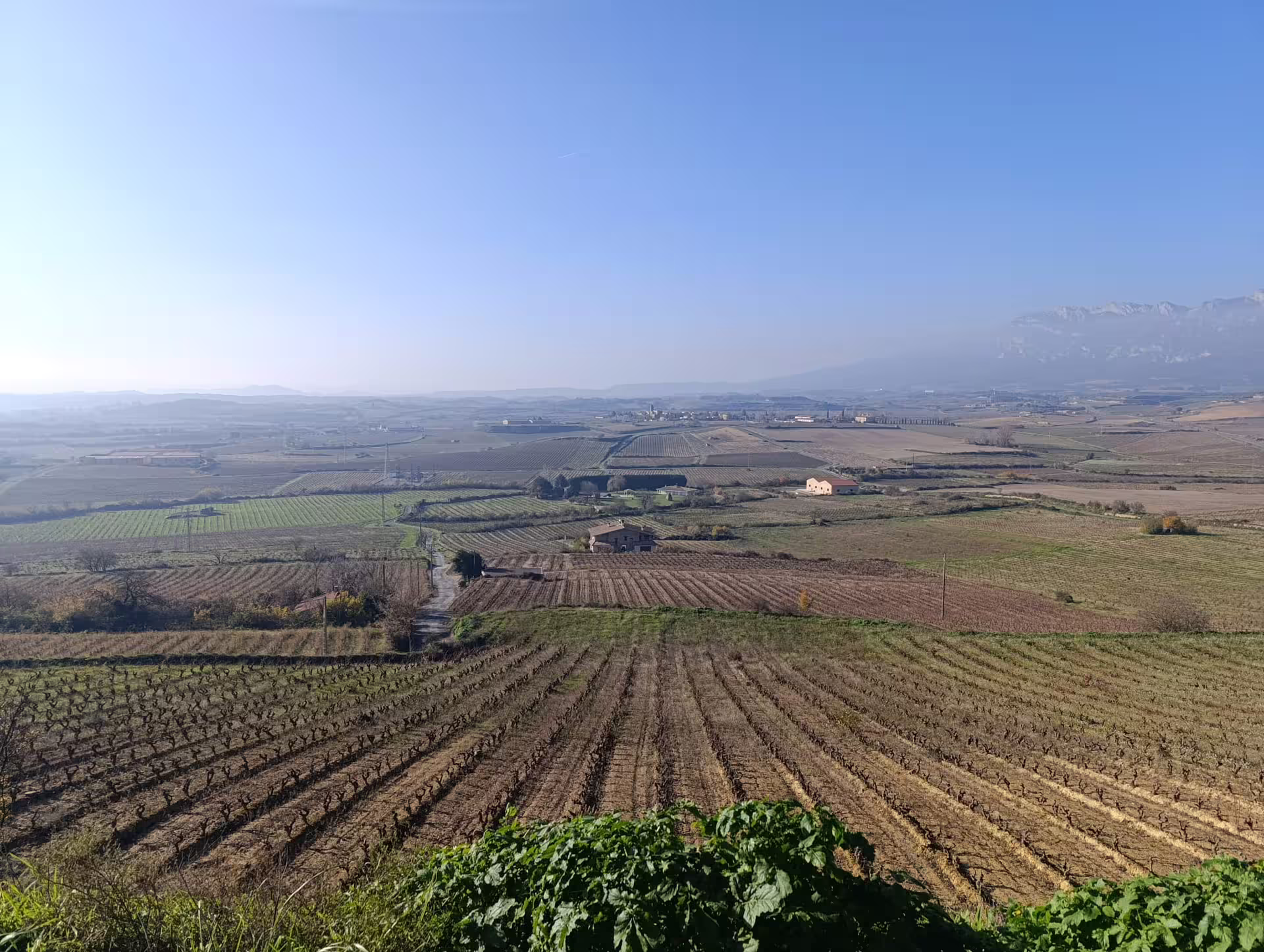 Experience panoramic views of Rioja's lush vineyards on a Three Day Wine Experience tour.