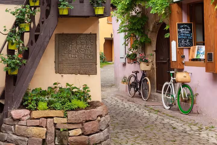Charming cobblestone alley in Riquewihr with bicycles, flower pots, and a bike rental shop sign