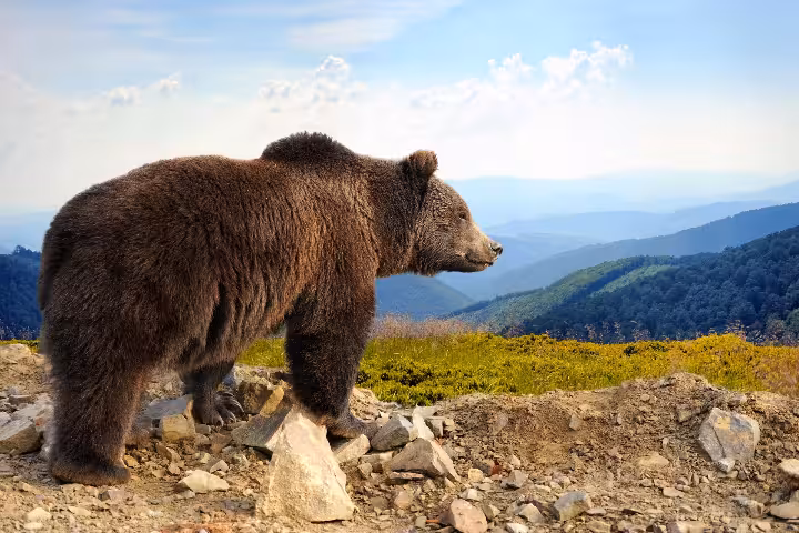 Romania , the unbeaten path of Europe