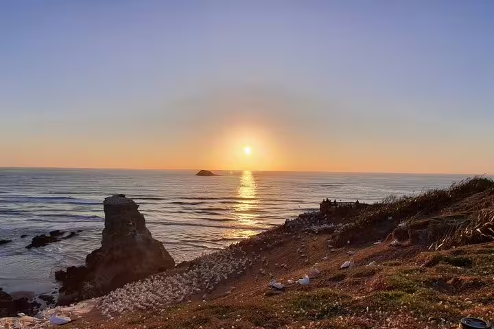 Stunning sunset view over Auckland's coastline with seabirds, highlighting a romantic tour featuring a winery and thermal pool.