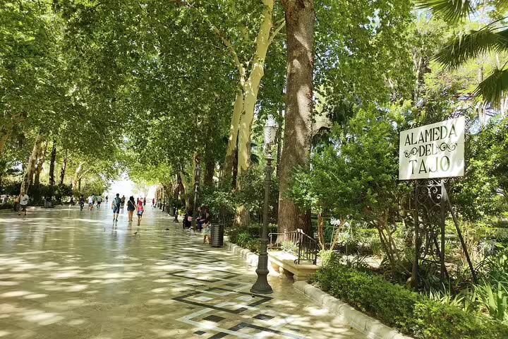 Lush greenery of Alameda del Tajo park in Ronda, perfect for a leisurely stroll on the private walking tour.