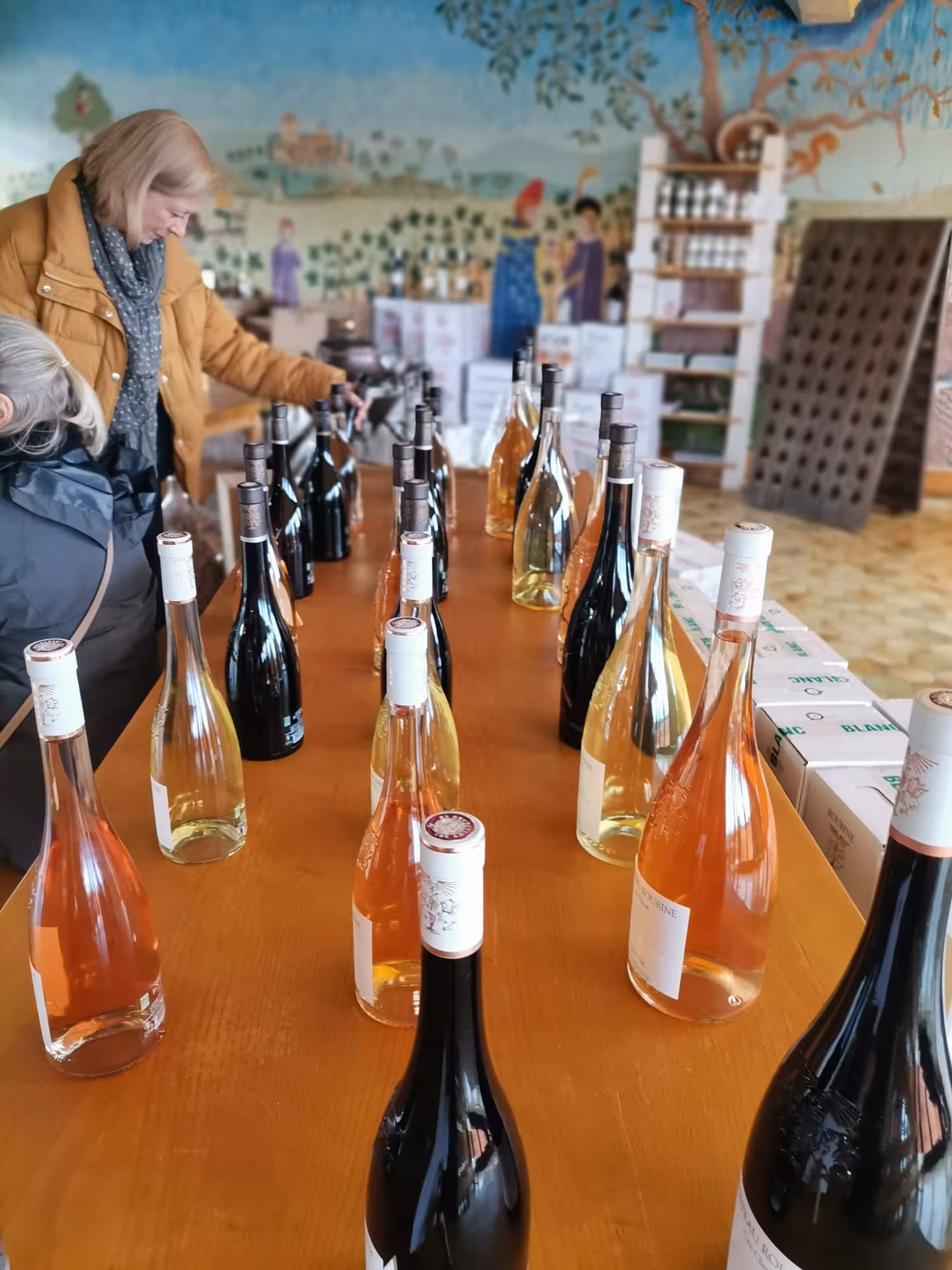 Tasting table with rosé and red bottles at Provence winery near Saint-Tropez, AOP Côtes de Provence tour