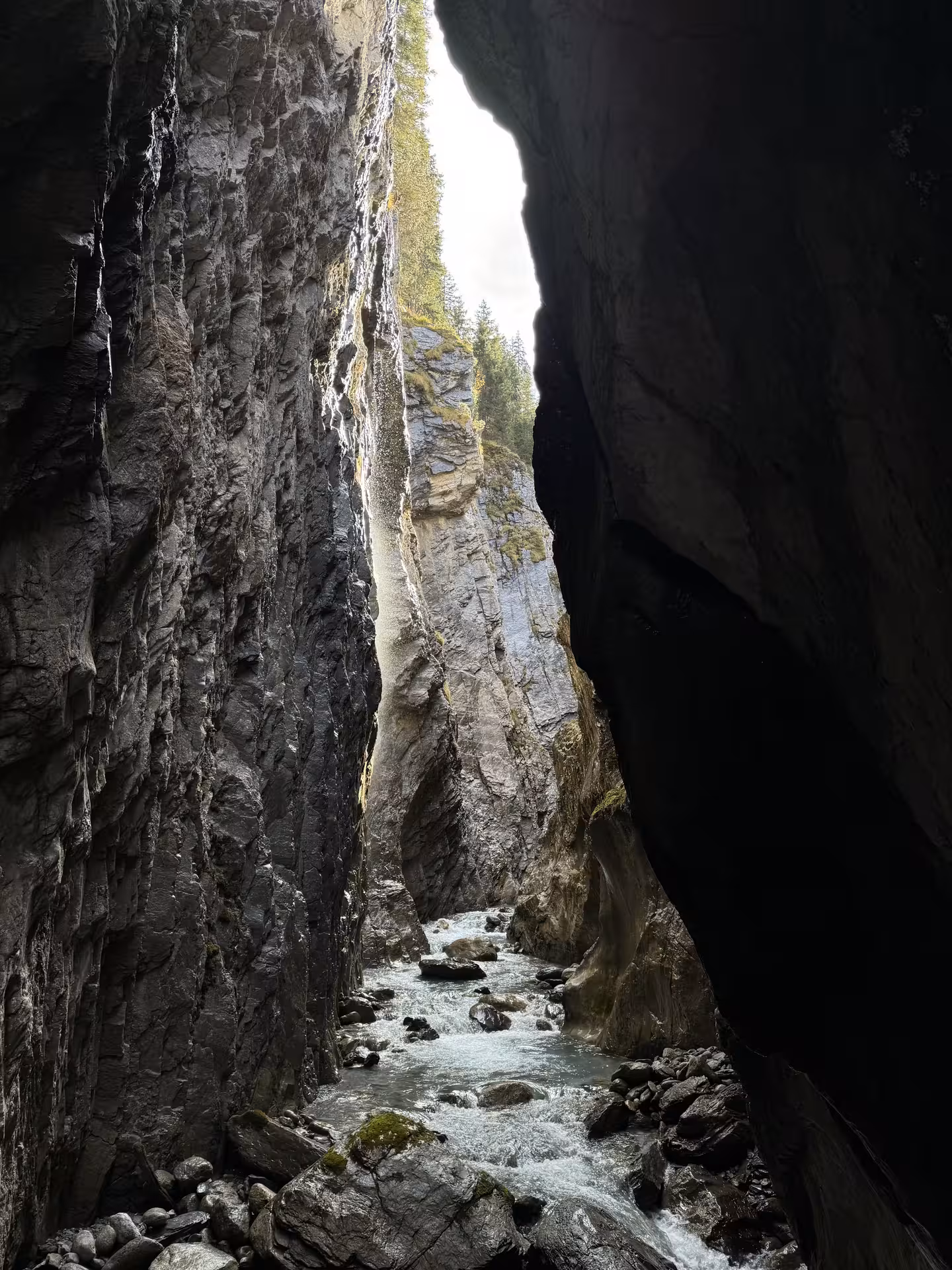 Dramatic Rosenlaui Gorge canyon and rushing stream, scenic stop on a private Rosenlaui Valley e-bike tour
