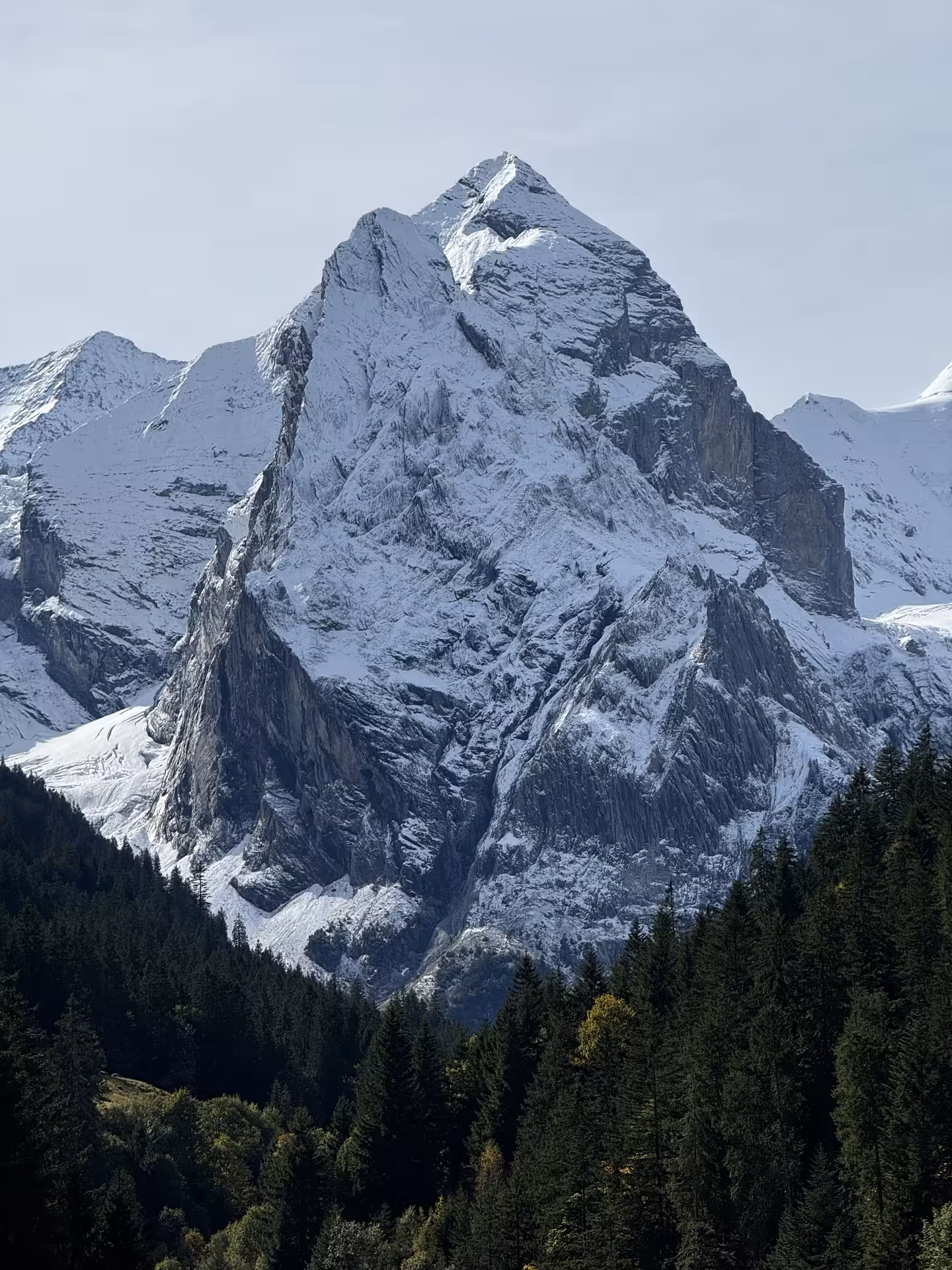 Snow-dusted Swiss Alpine peak above pine forest, dramatic view on a private Rosenlaui Valley e-bike tour
