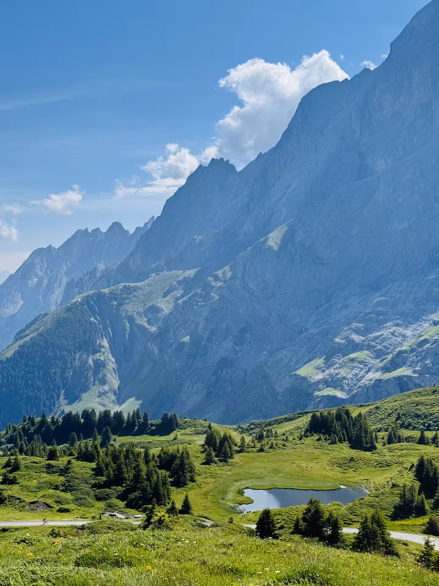 Green meadows and small lake beneath Swiss Alps on Rosenlaui Valley private e-bike tour near Meiringen