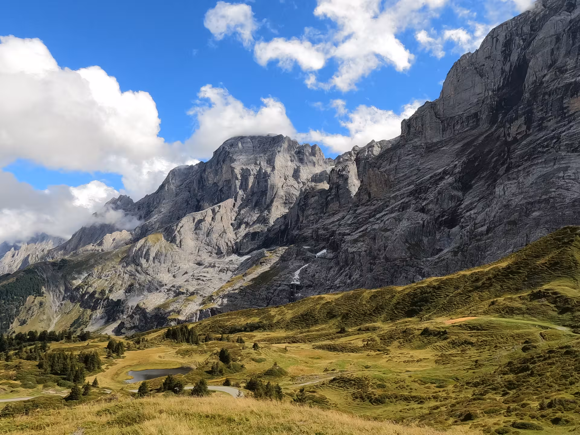 Panoramic Swiss Alps scenery in Rosenlaui Valley with meadows and cliffs on a private guided e-bike tour