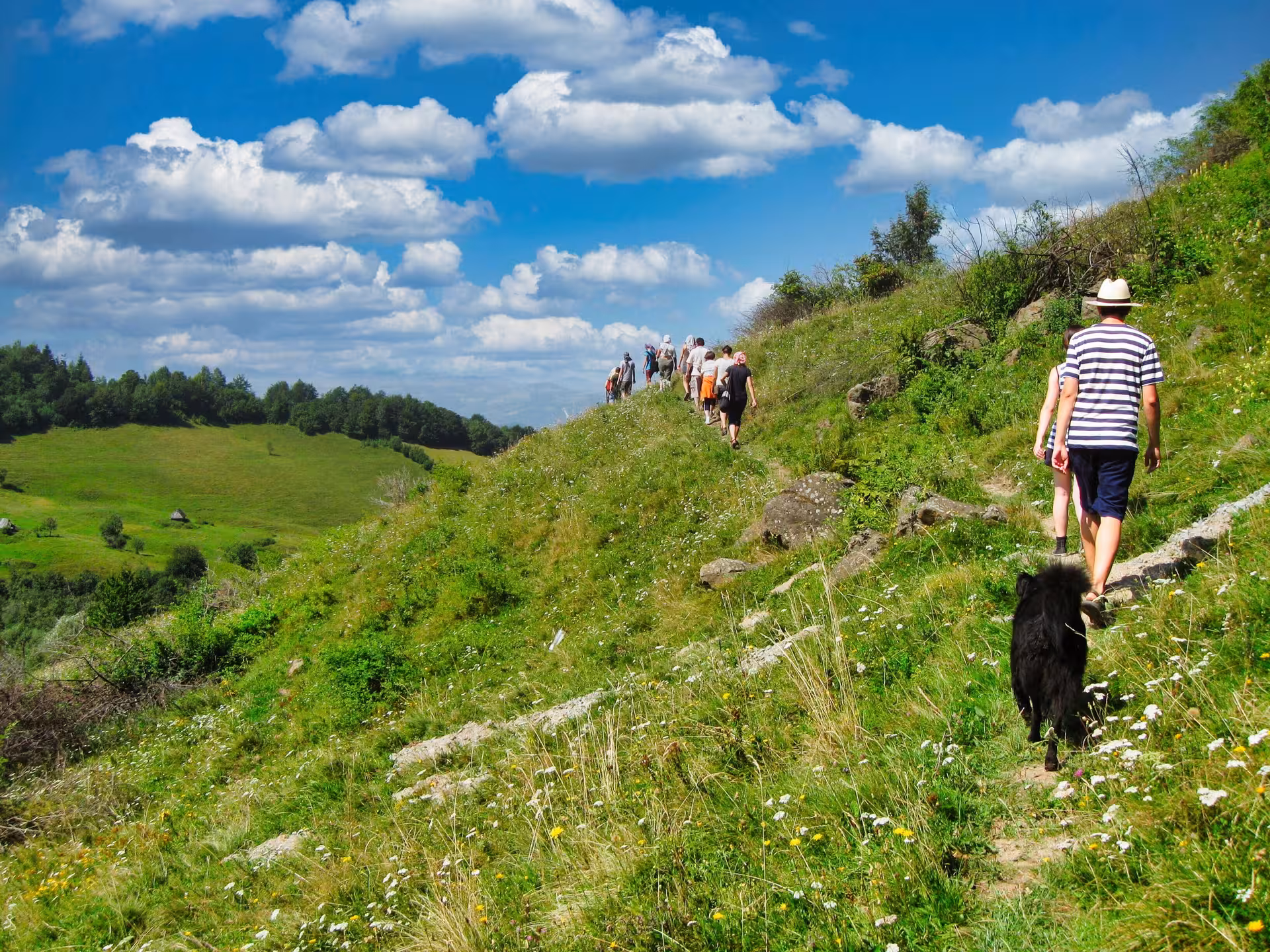Group of hikers with a black dog trekking along a grassy hillside trail in the Apuseni Mountains