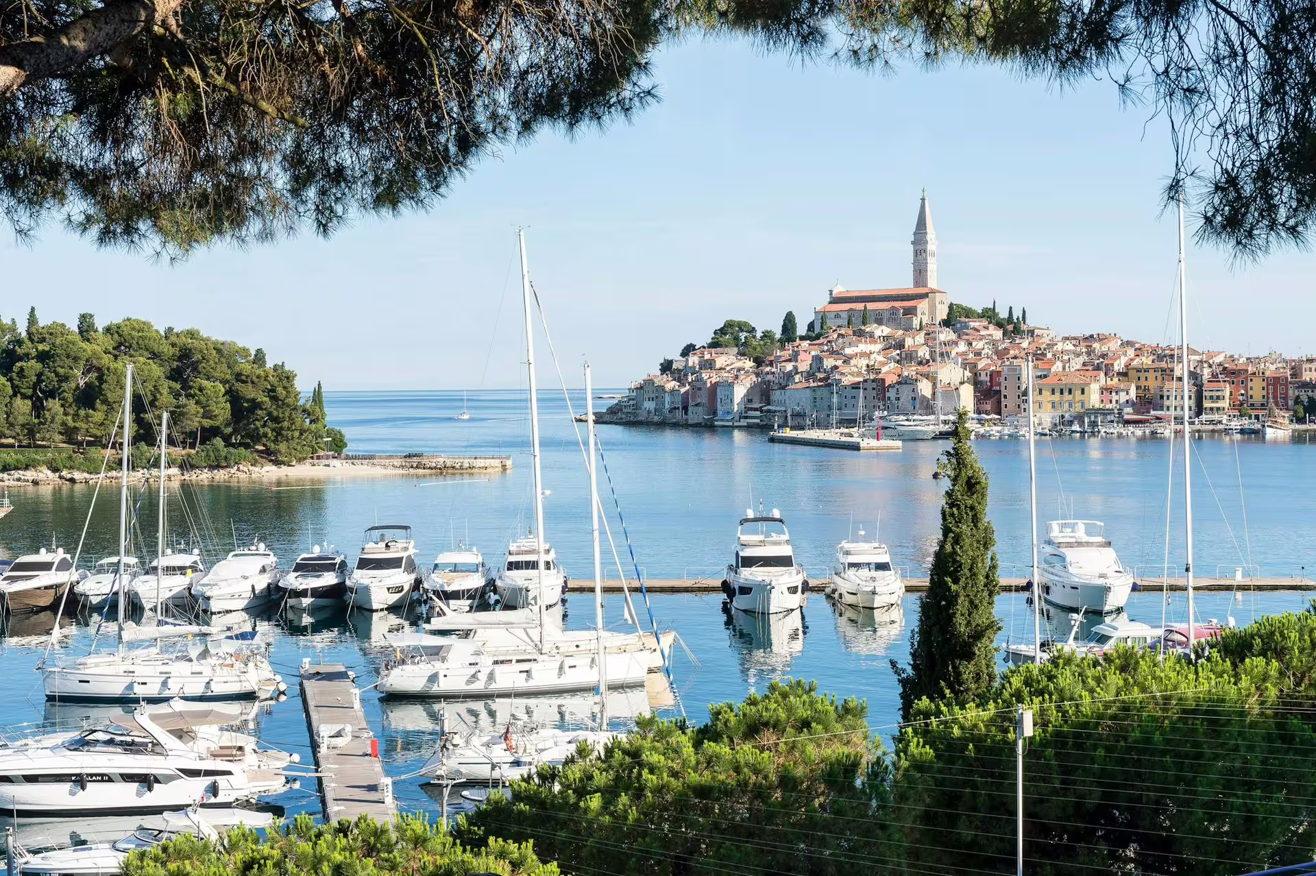 Rovinj harbor with yachts and St Euphemia church, scenic stop on Ancient Istria tour from Poreč