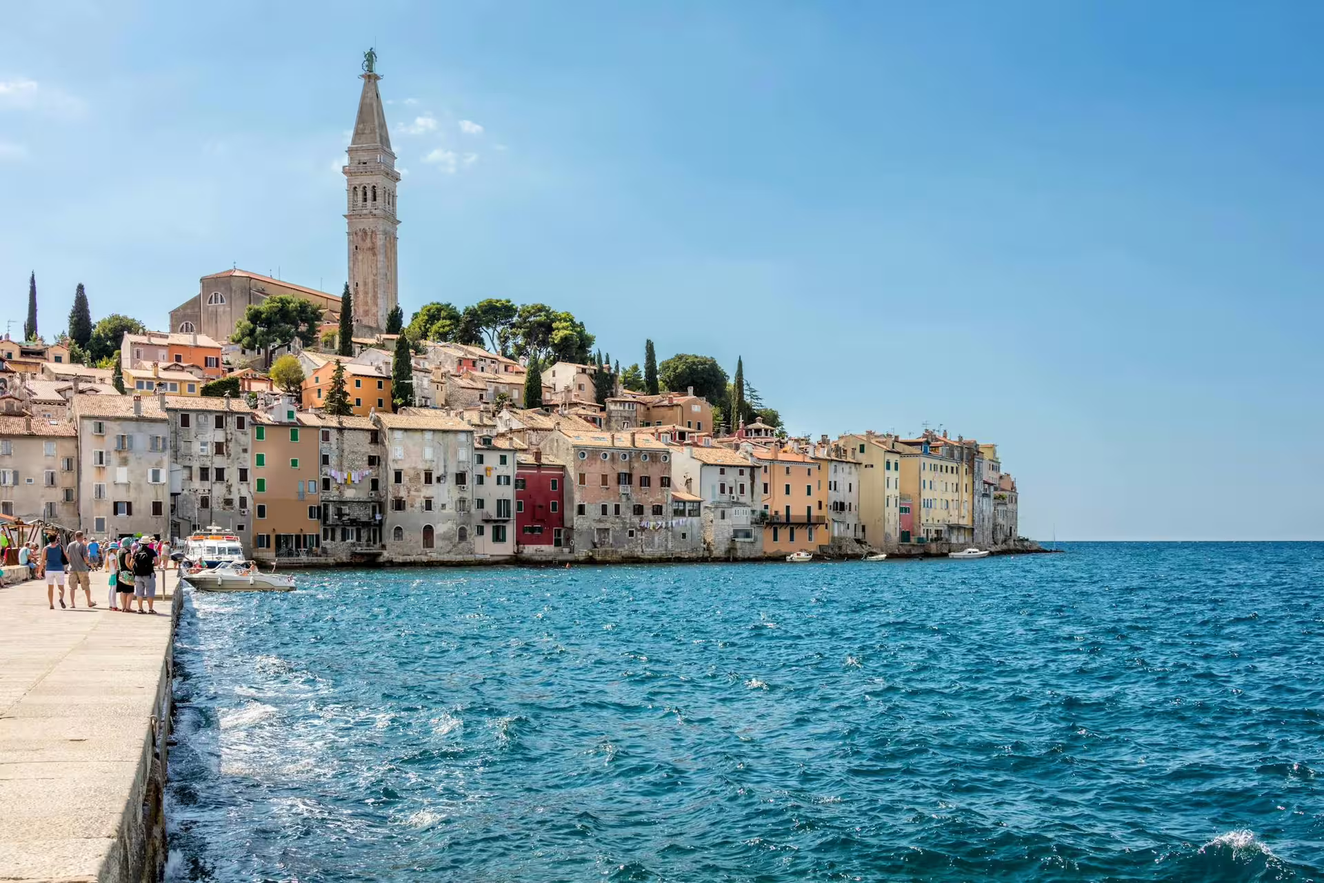 Rovinj old town waterfront and St Euphemia bell tower, Adriatic views on Ancient Istria tour from Poreč