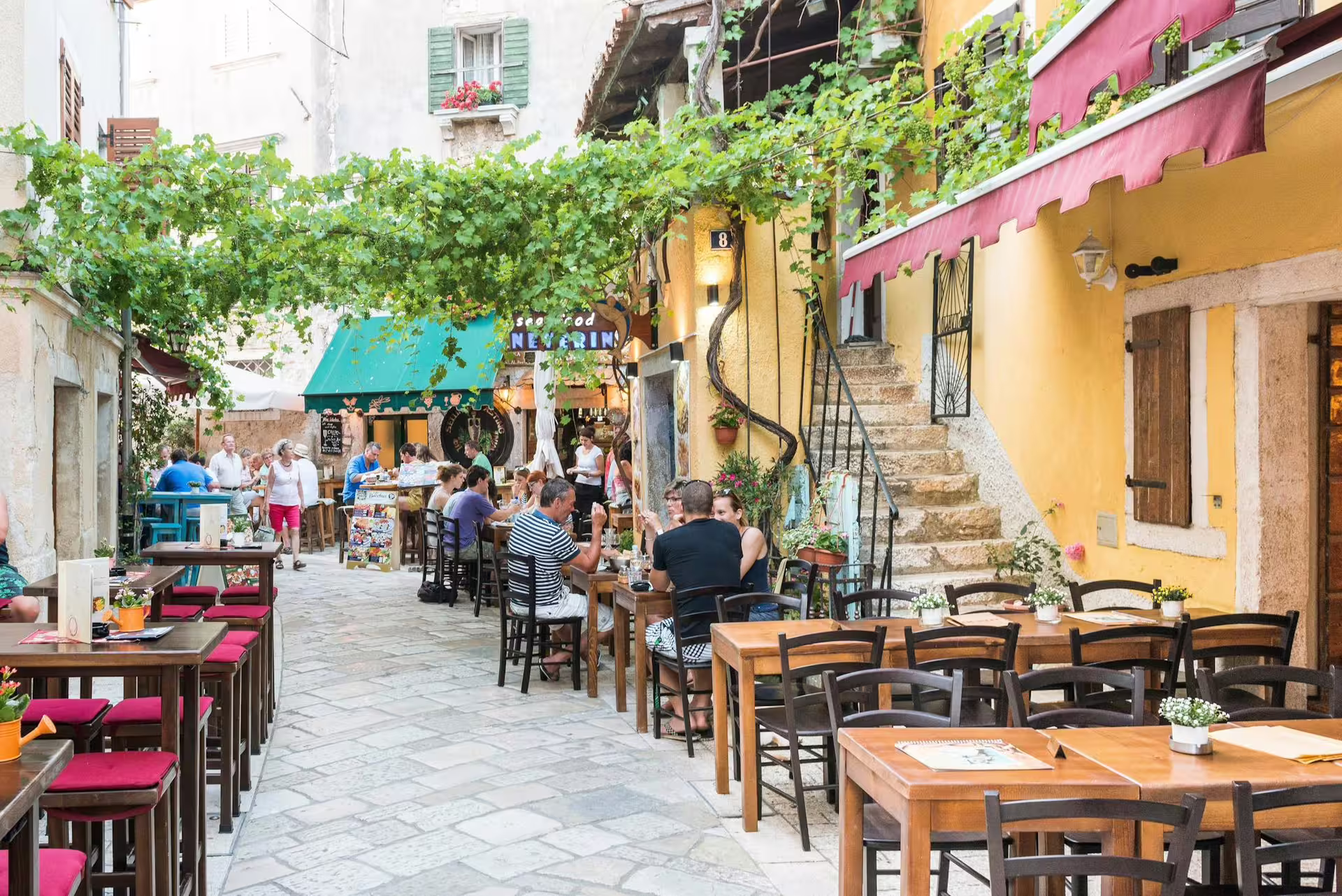 Outdoor cafe alley under grapevines in Rovinj old town, a foodie stop on the Ancient Istria tour from Pula to Poreč