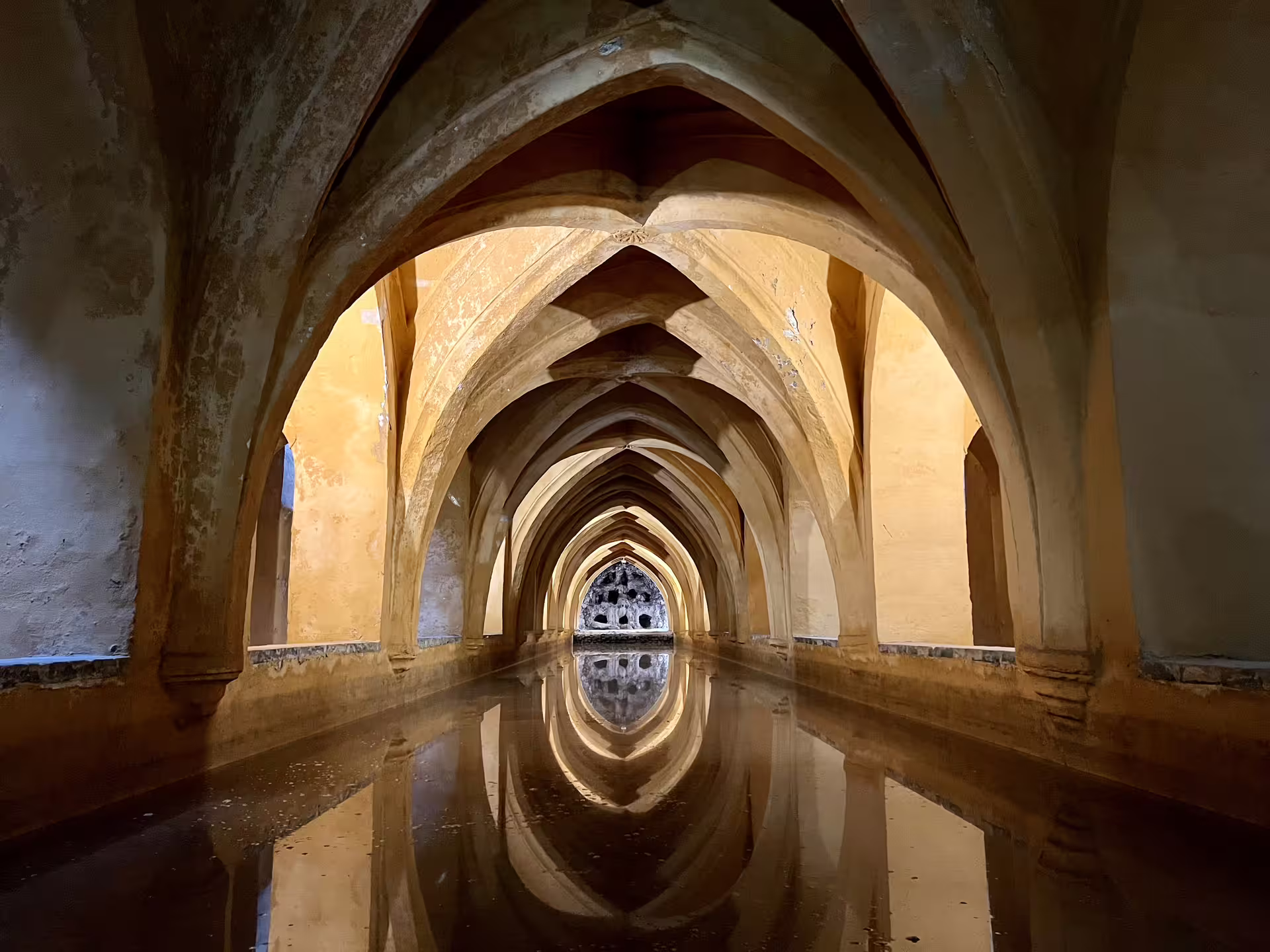 Arched underground chamber with reflections in the water at the Royal Alcazar of Seville during a private tour.