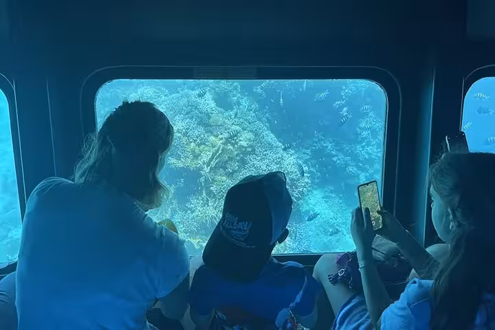Guests photograph coral reef views from Royal Seascope semi-submarine cabin during Makadi Bay tour