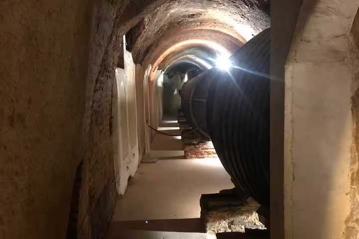 Historic wine cellar with large barrels on the Rueda White Wine Tour from Madrid.
